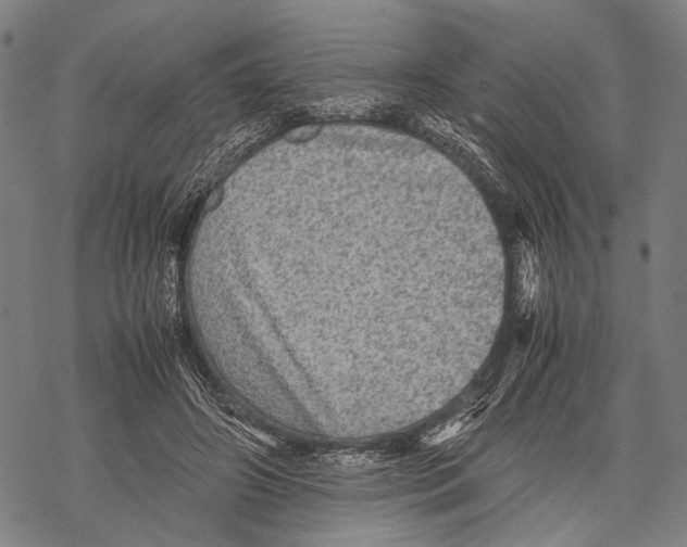 X0000067460498200605051625