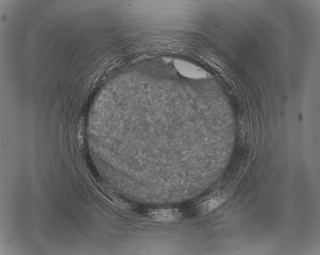 X0000067460499200605051625