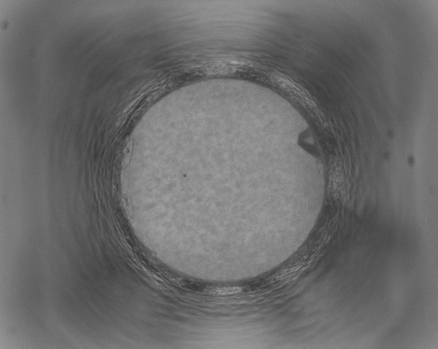 X0000067460501200605051625