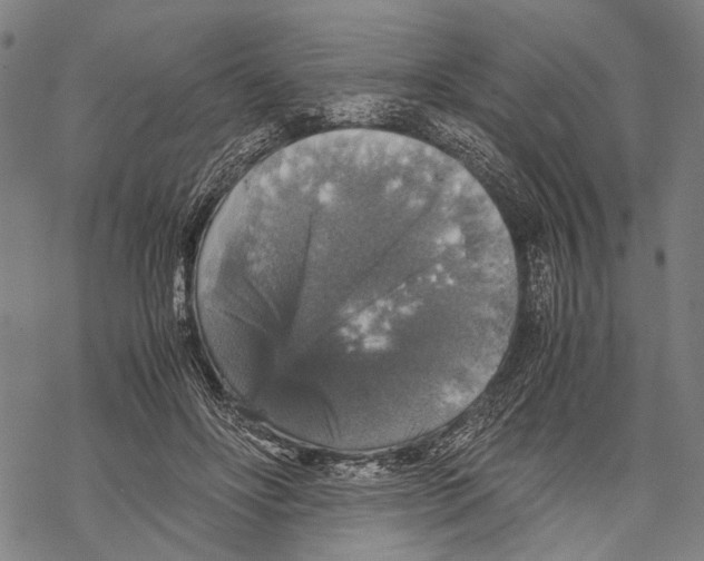 X0000067460502200605051625