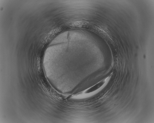 X0000067460504200605051625