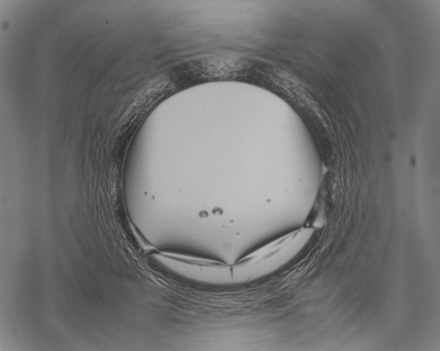 X0000067460505200605051625