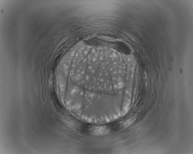 X0000067460507200605051625