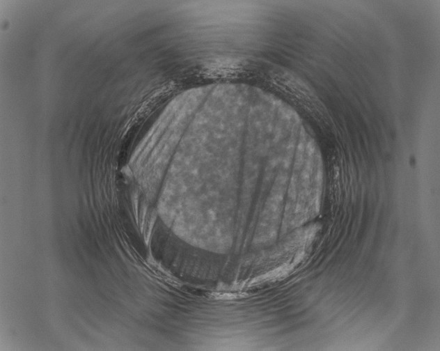 X0000067460508200605051625