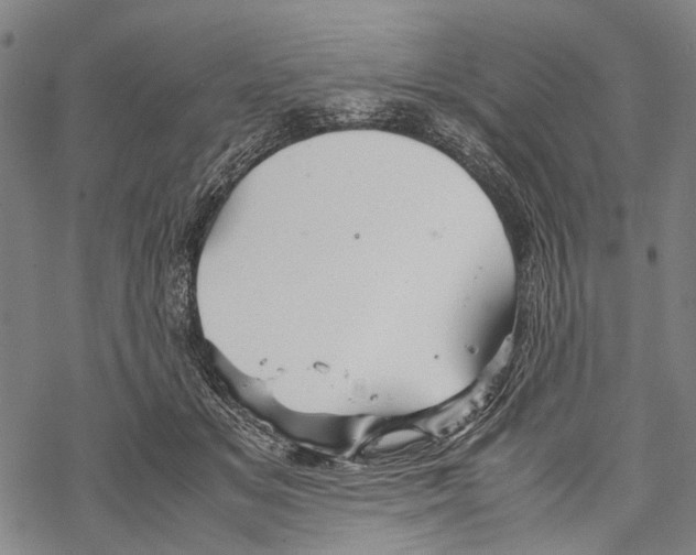 X0000067460509200605051625