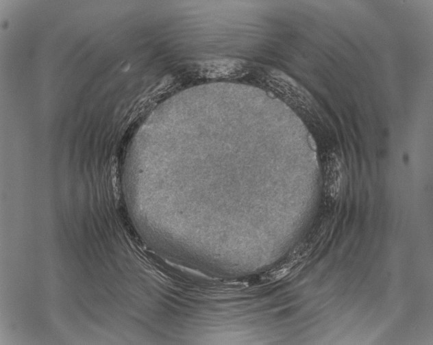 X0000067460510200605051625