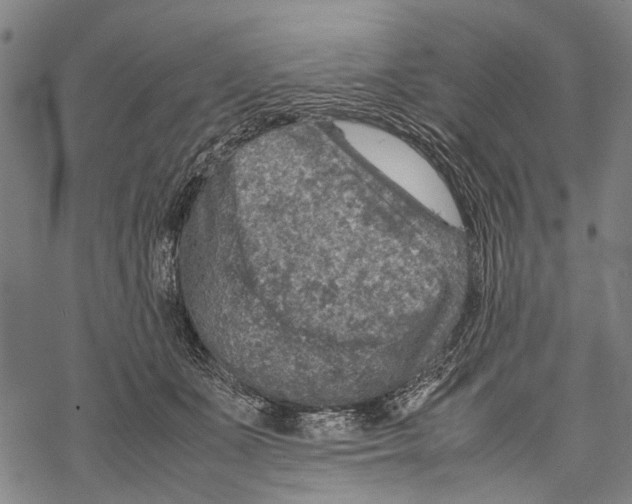 X0000067460511200605051625