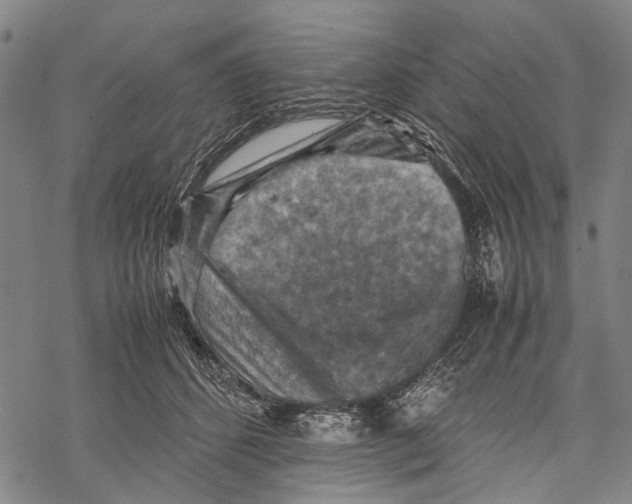 X0000067460512200605051625