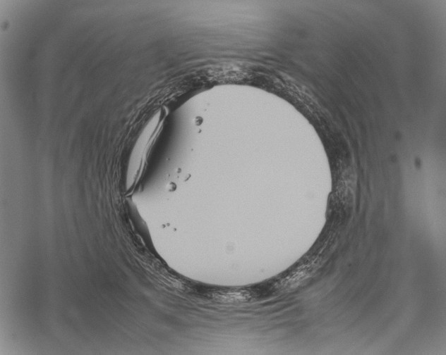 X0000067460513200605051625