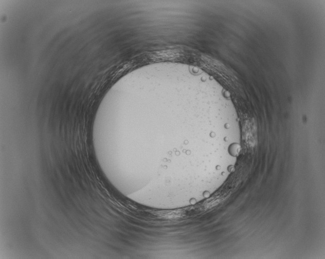 X0000067460514200605051625