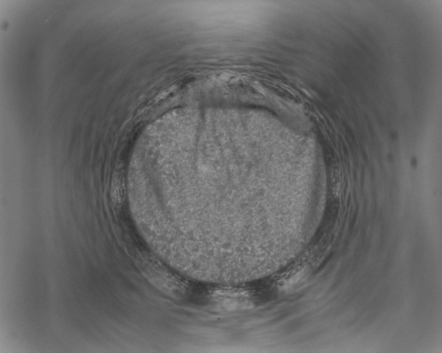 X0000067460515200605051625