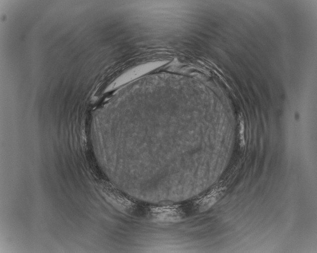 X0000067460516200605051625