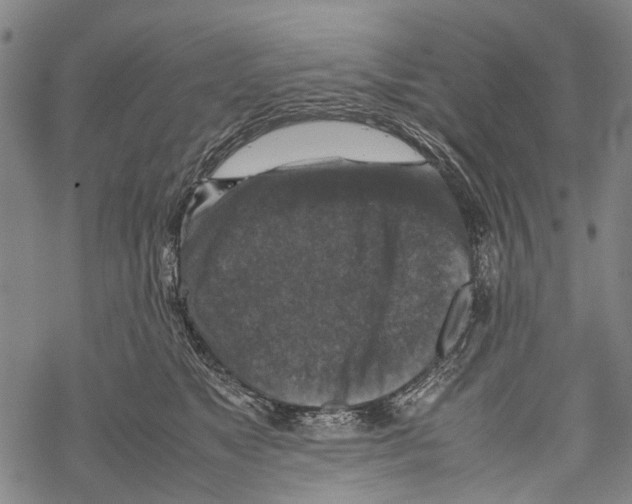 X0000067460517200605051625