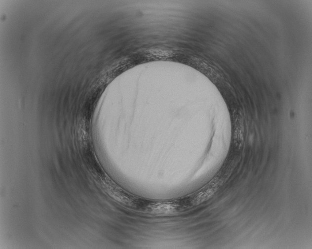 X0000067460518200605051625