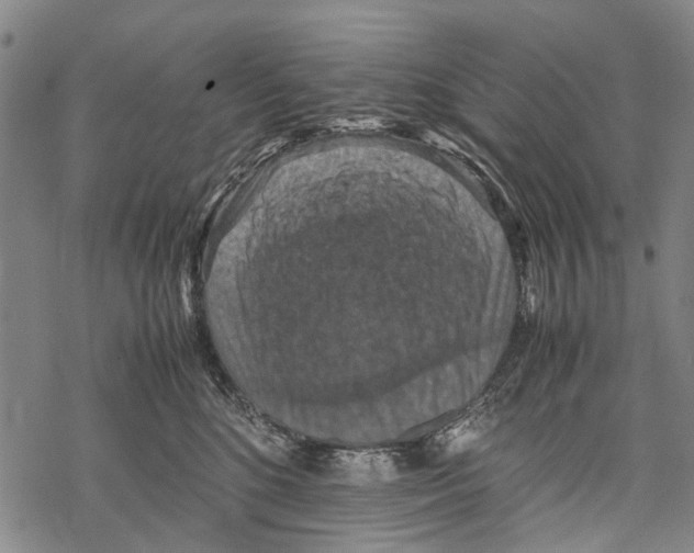 X0000067460520200605051625