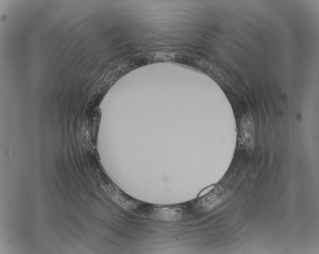 X0000067460522200605051625