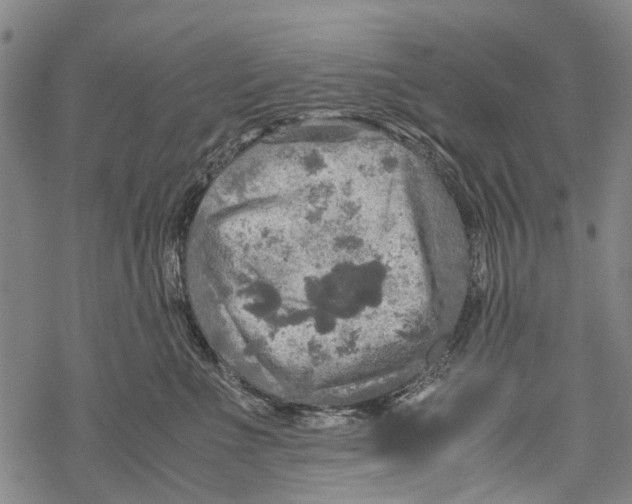 X0000067460523200605051625