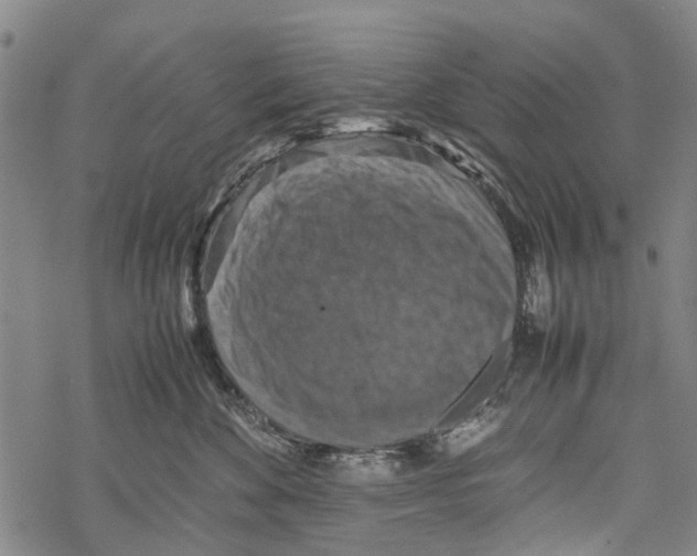 X0000067460524200605051625