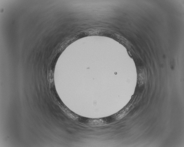 X0000067460525200605051625