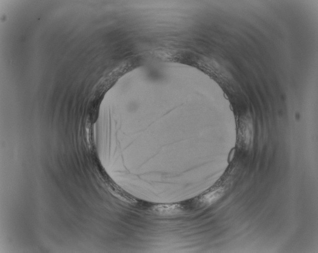 X0000067460526200605051625