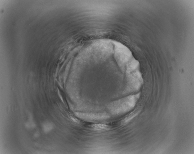 X0000067460528200605051625