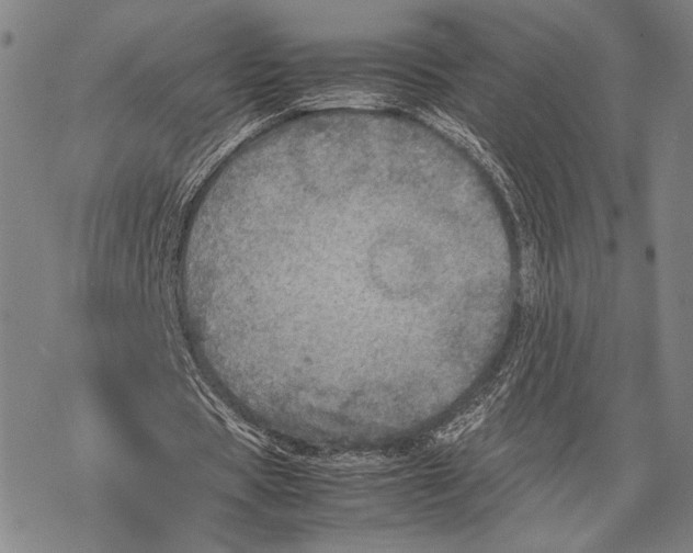 X0000067460529200605051624