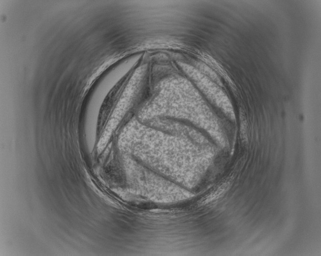 X0000067460530200605051624