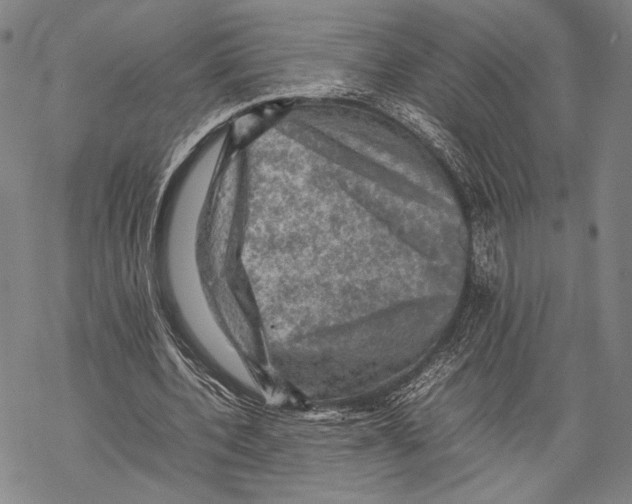 X0000067460532200605051624