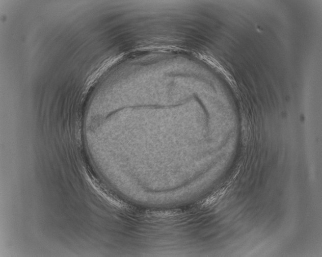 X0000067460533200605051624