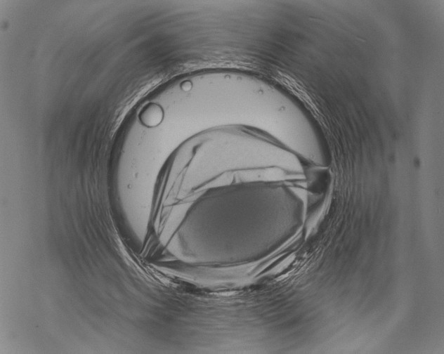 X0000067460534200605051624