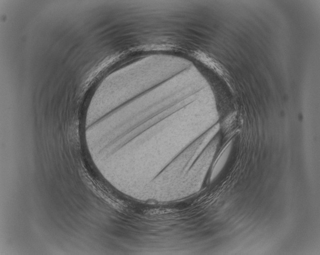 X0000067460535200605051624