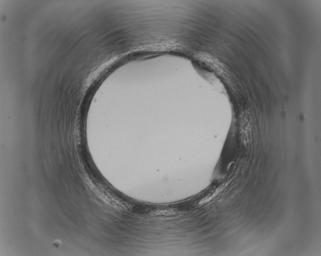 X0000067460536200605051624