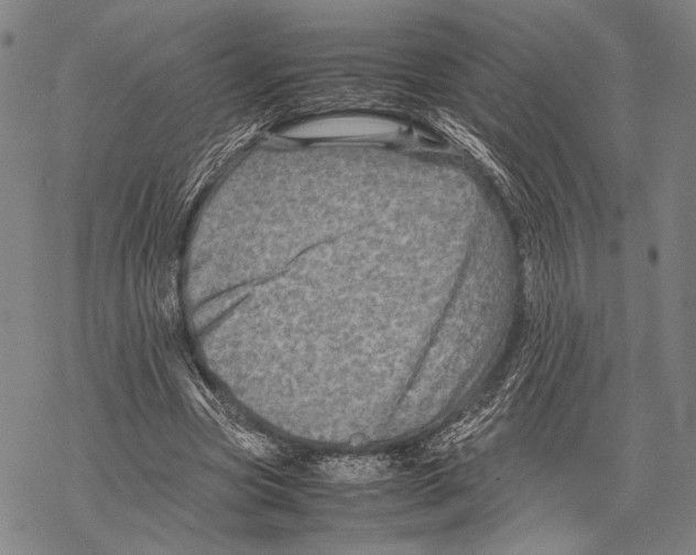 X0000067460537200605051624