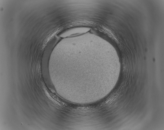 X0000067460538200605051624