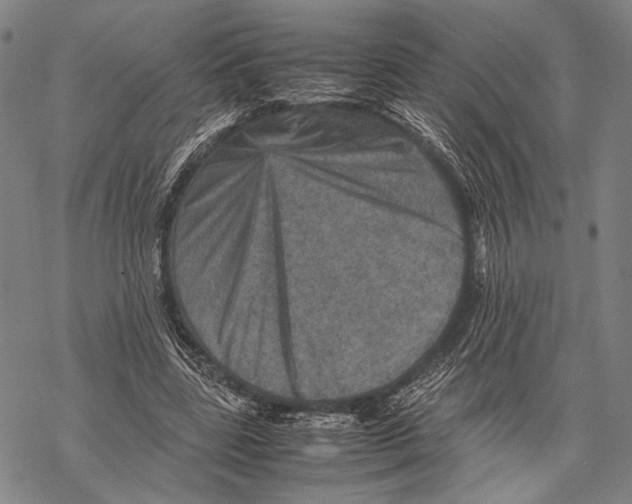 X0000067460539200605051624