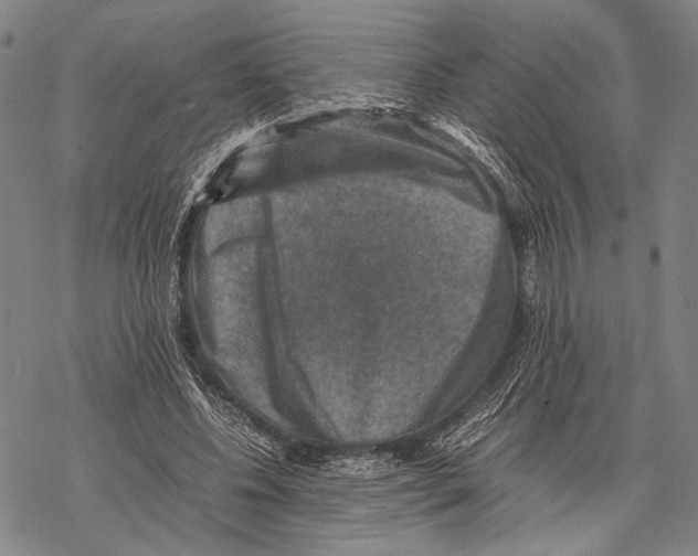 X0000067460540200605051624