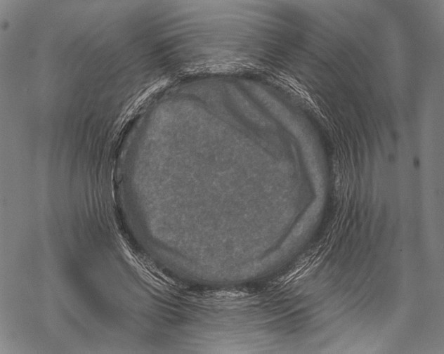 X0000067460542200605051624