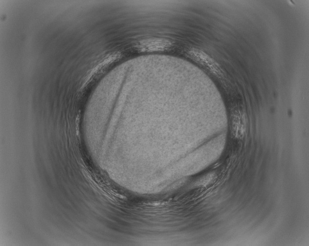 X0000067460543200605051624