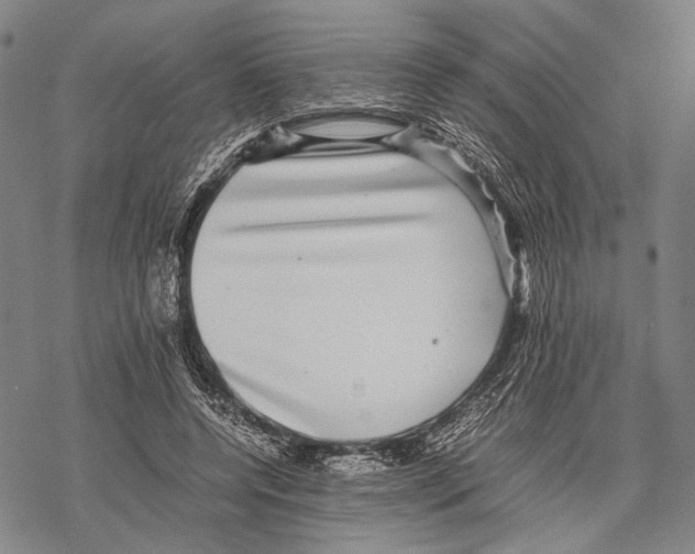 X0000067460544200605051624