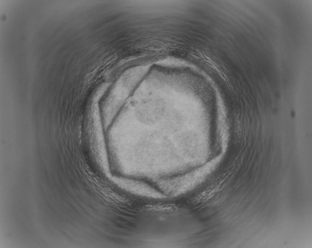 X0000067460545200605051624