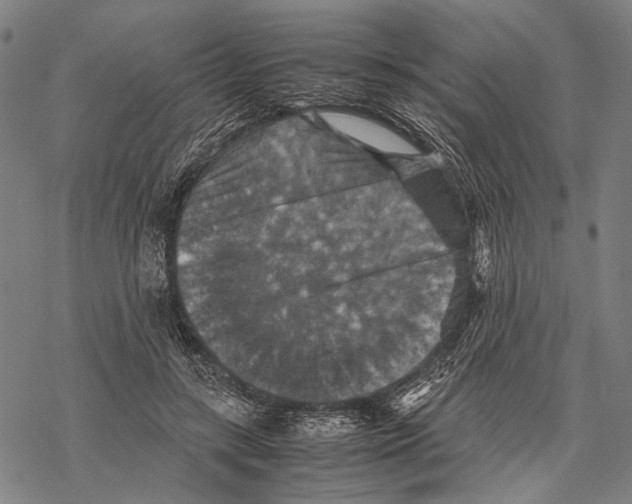 X0000067460547200605051624