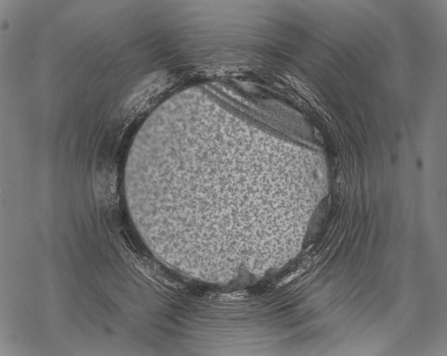 X0000067460548200605051624