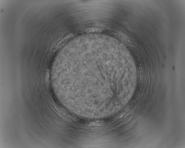 X0000067460550200605051624