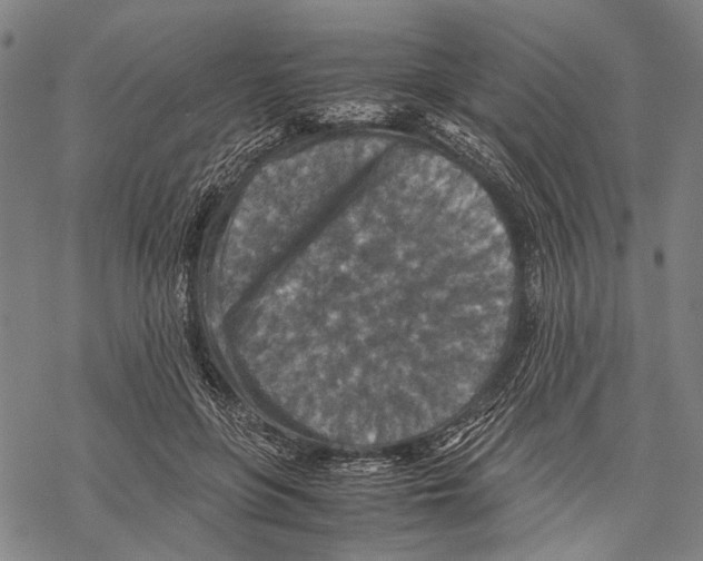 X0000067460551200605051624