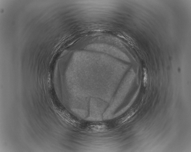 X0000067460552200605051624