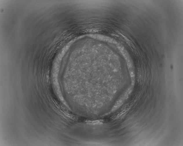 X0000067460553200605051624