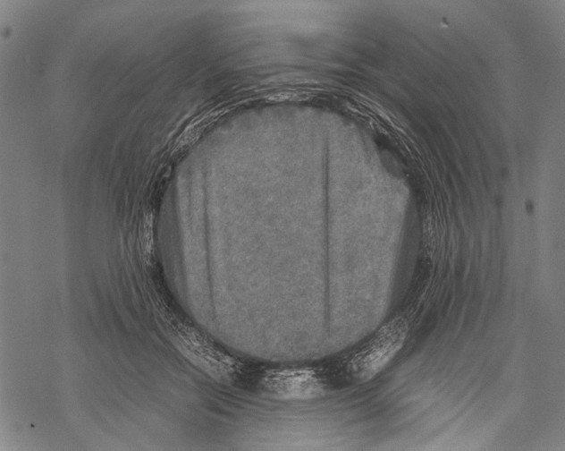 X0000067460554200605051624