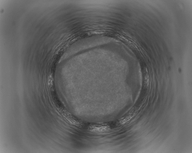 X0000067460555200605051624