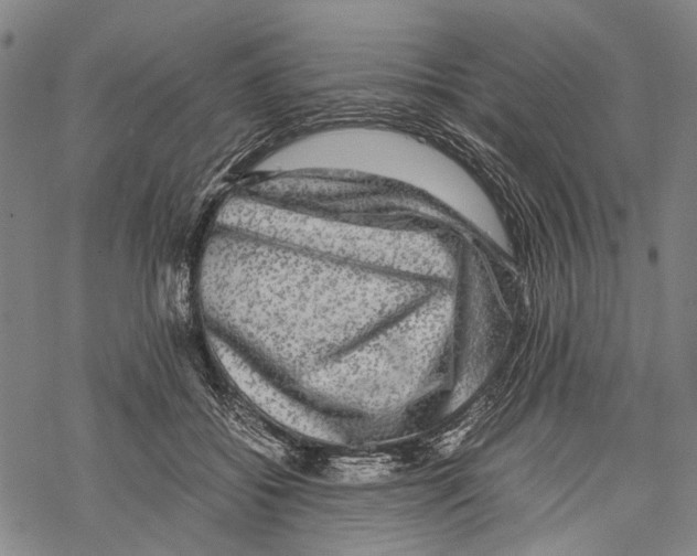 X0000067460556200605051624