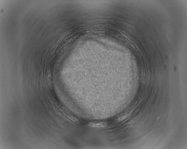 X0000067460557200605051624